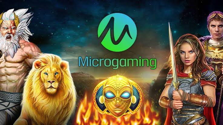 MICRO GAMING PLUS
